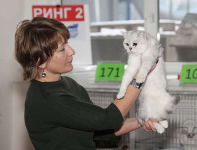 �������� ����� '������� ���-�����' 30 ������-1 ������� 2013., ������������ ��� 2997